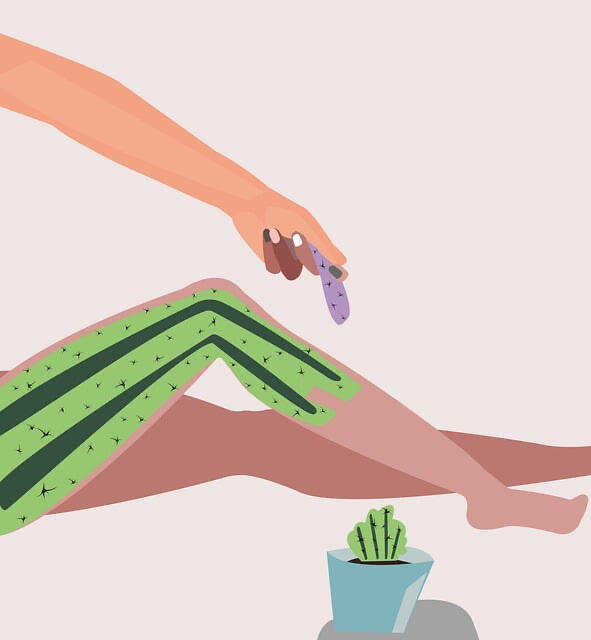 Body waxing to the root, cartoon image of a leg like a cactus